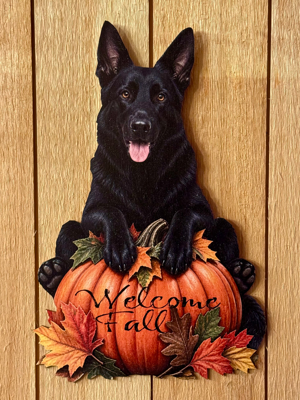Black German Shepherd Sitting on pumpkin Fall wood decor